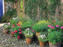Chesham Bois House - Open garden in aid of charities
